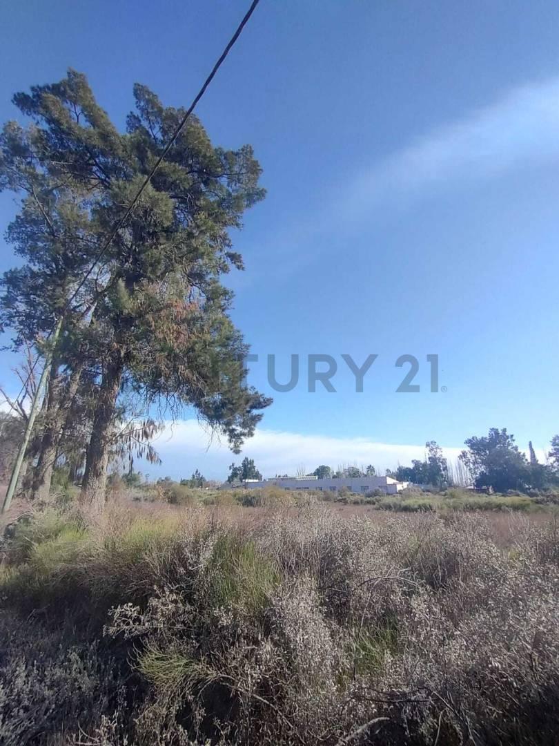 Foto de VENTA DE TERRENO EN COLONIA SEGOVIA, GUAYMALLÉN, MENDOZA- ID: 359326, imagen 2