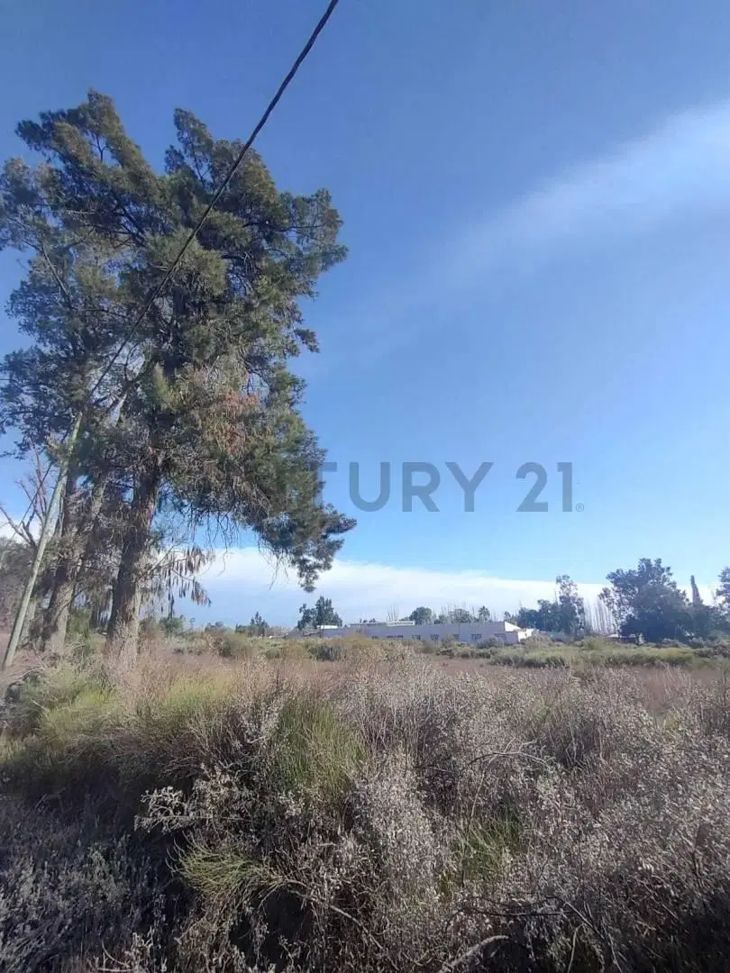 VENTA DE TERRENO EN COLONIA SEGOVIA, GUAYMALLÉN, MENDOZA- ID: 359326 2
