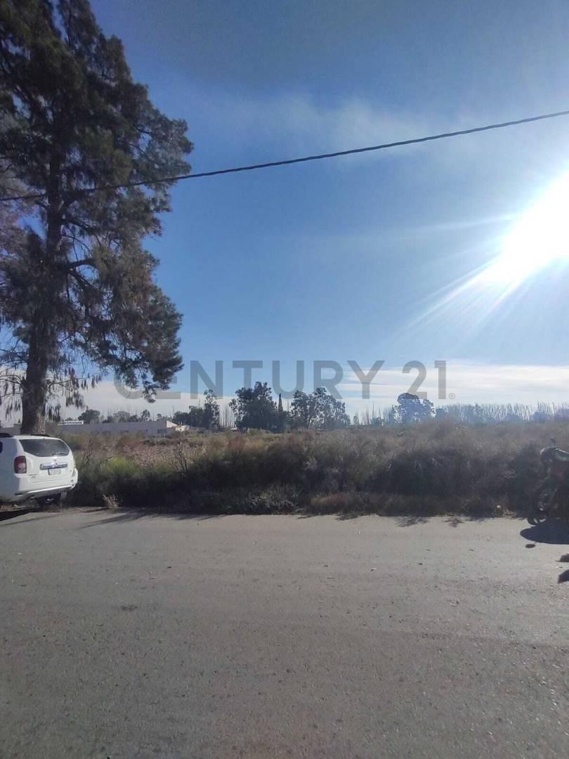 Foto de VENTA DE TERRENO EN COLONIA SEGOVIA, GUAYMALLÉN, MENDOZA- ID: 359326, imagen 4