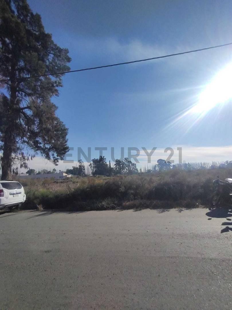 Foto de VENTA DE TERRENO EN COLONIA SEGOVIA, GUAYMALLÉN, MENDOZA- ID: 359326, imagen 5