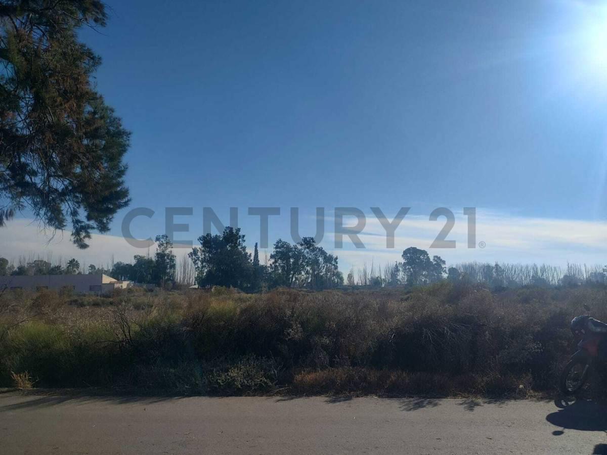 Foto de VENTA DE TERRENO EN COLONIA SEGOVIA, GUAYMALLÉN, MENDOZA- ID: 359326, imagen 1