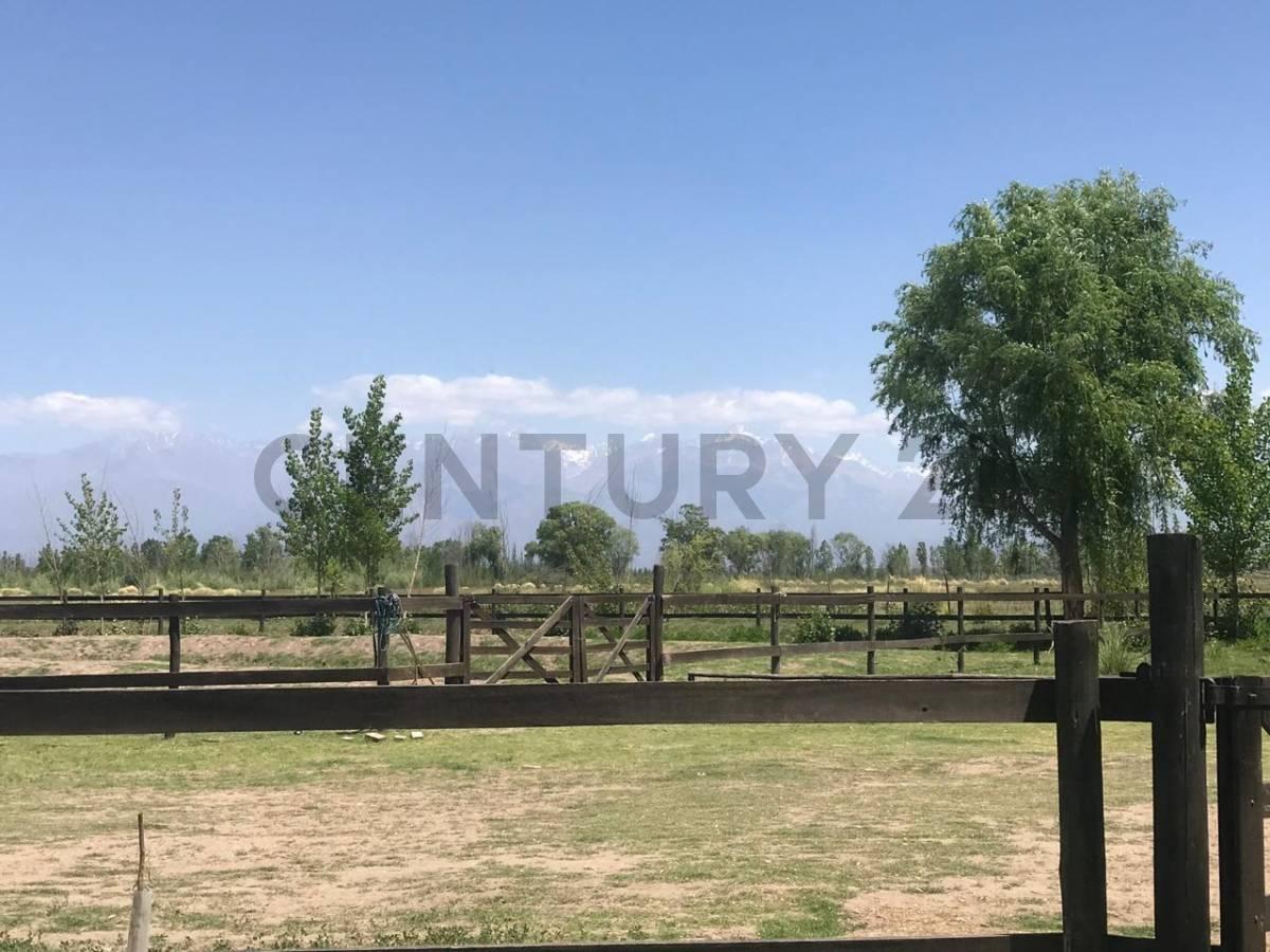 Foto de TERERENO EN VENTA EN TUNUYAN, imagen 3