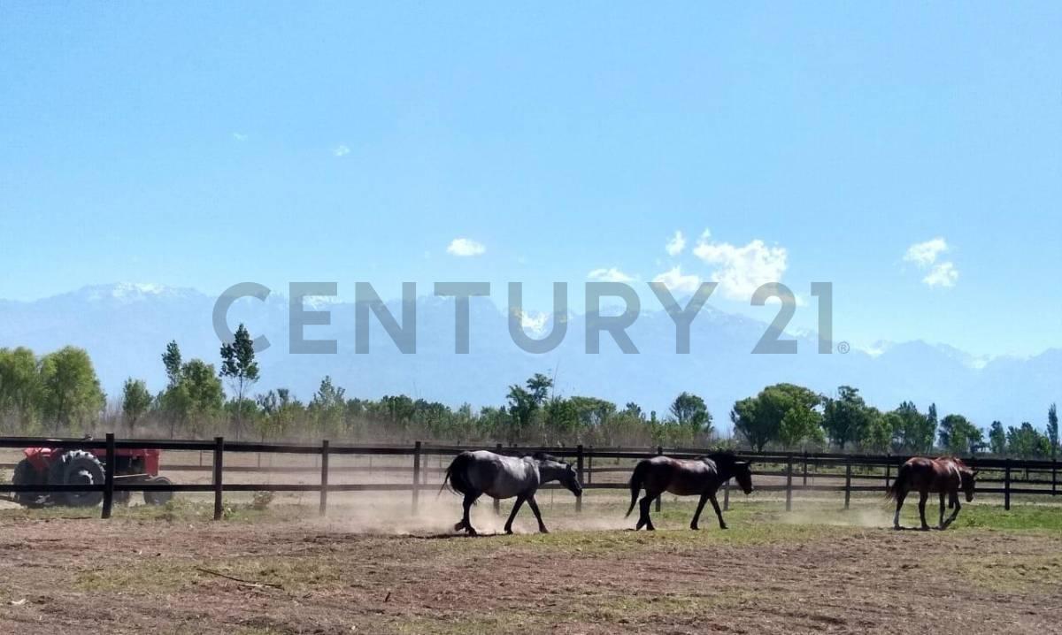 Foto de TERERENO EN VENTA EN TUNUYAN, imagen 5
