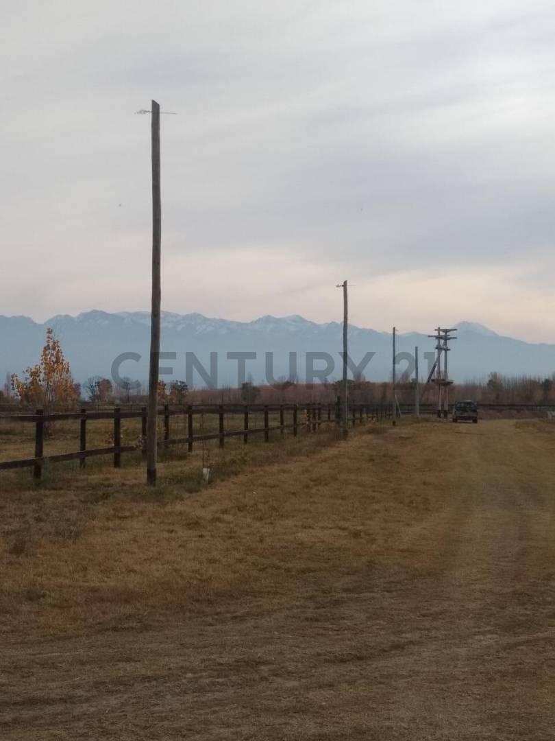 Foto de TERERENO EN VENTA EN TUNUYAN, imagen 1