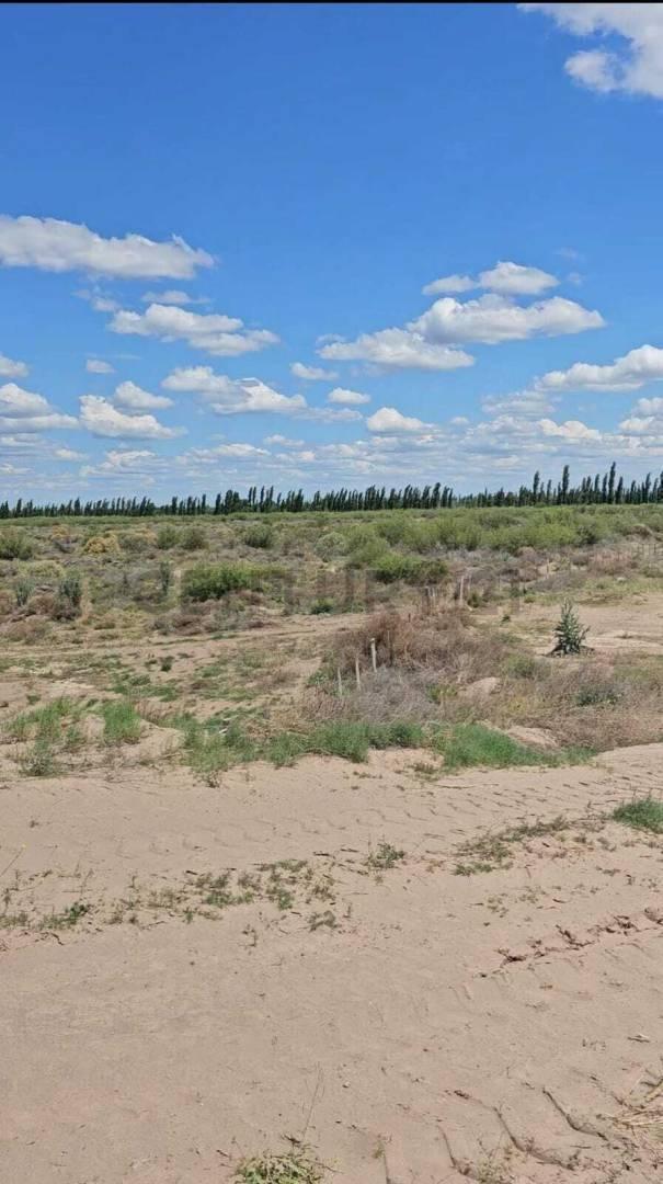 Foto de VENTA DE CAMPO EN SAN RAFAEL 487HA OPORTUNIDAD. ID: 311729, imagen 3