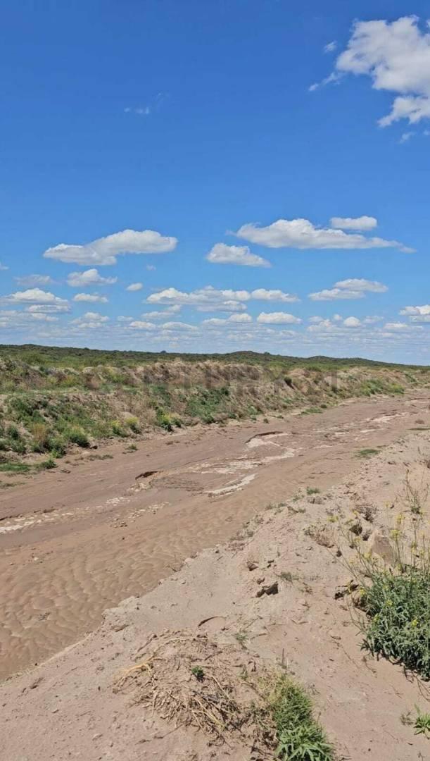 Foto de VENTA DE CAMPO EN SAN RAFAEL 487HA OPORTUNIDAD. ID: 311729, imagen 4