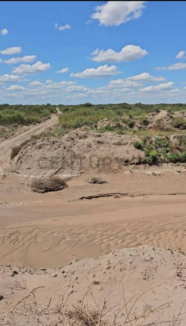 Foto de VENTA DE CAMPO EN SAN RAFAEL 487HA OPORTUNIDAD. ID: 311729, imagen 5
