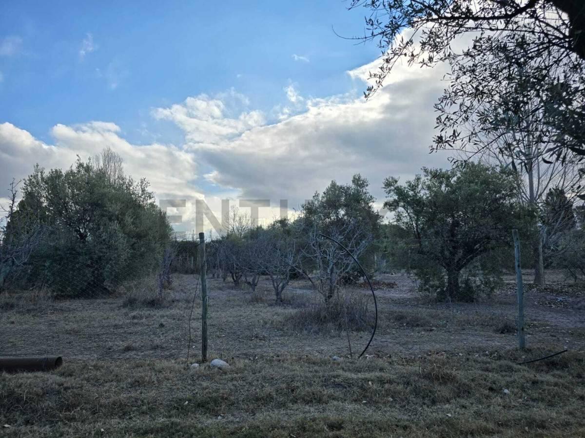 Foto de VENTA DE TERRENO BARRIO LA MASIA, imagen 4