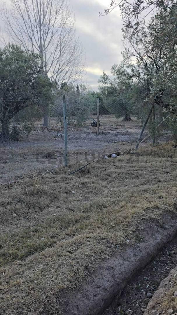 Foto de VENTA DE TERRENO BARRIO LA MASIA, imagen 1