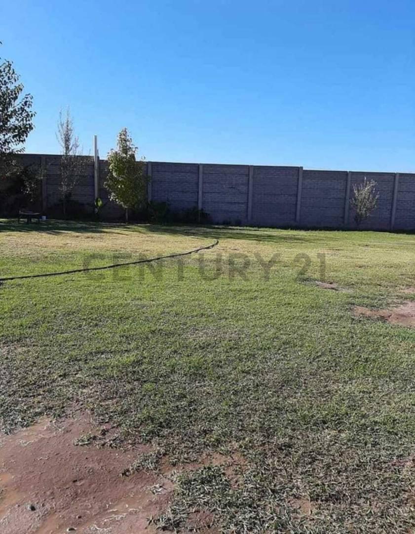Foto de VENTA DE CASA EN CHACRAS DE CORIA, LUJAN DE CUYO, MENDOZA. ID: 341441, imagen 4