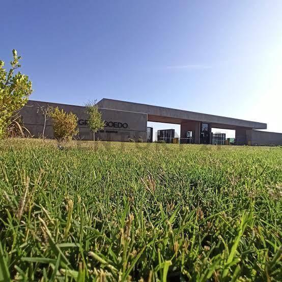 Foto de GRAN TERRENO EN VENTA EN B° GRAN BOEDO - LUJÁN DE CUYO, imagen 1