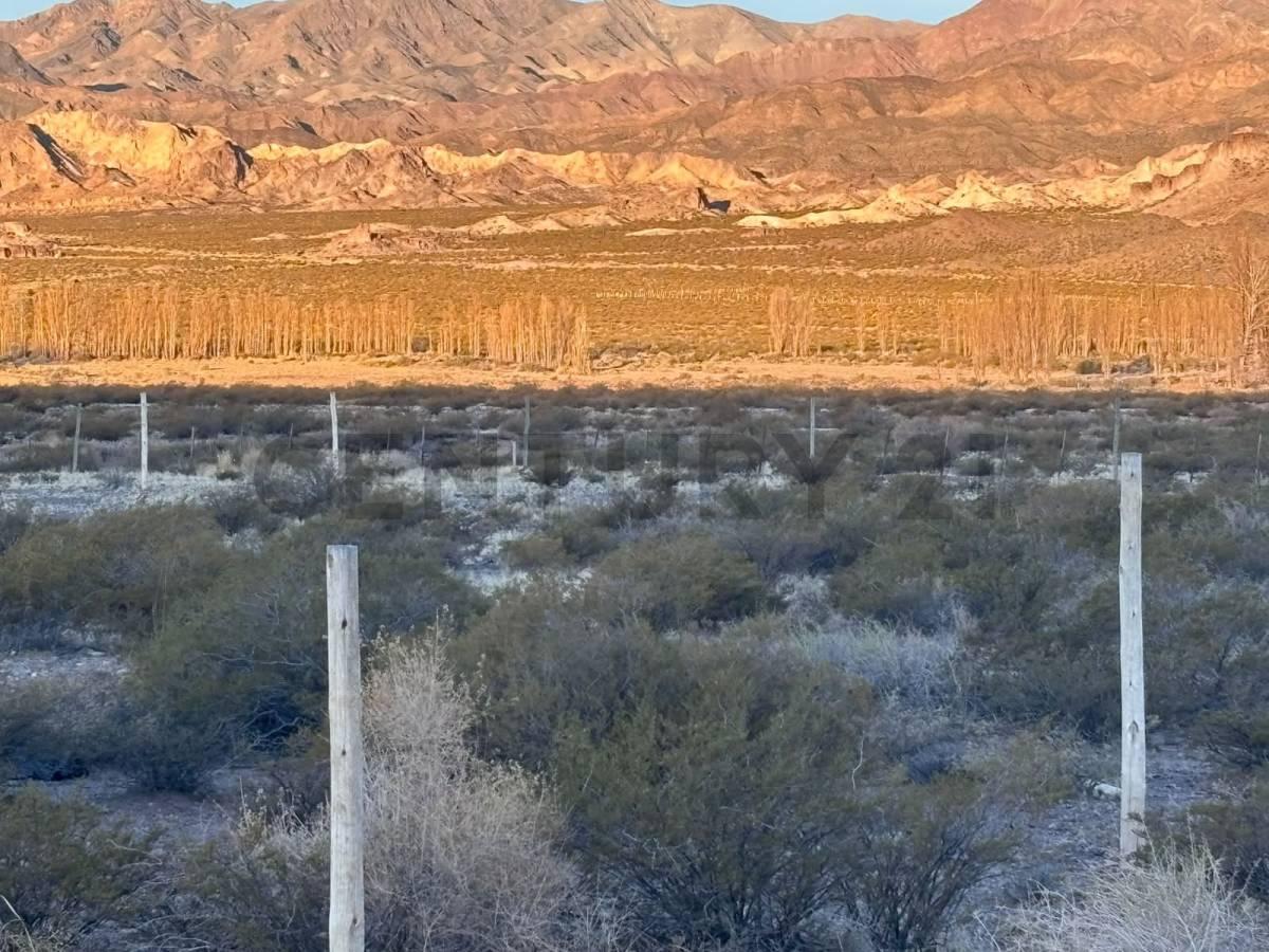 Foto de VENTA DE TERRENO EN USPALLATA, LAS HERAS., imagen 4