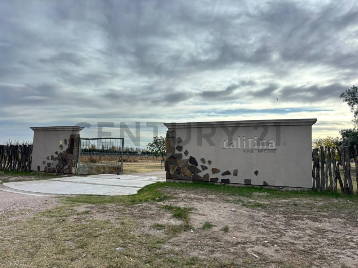 Foto de VENTA DE CAMPO DE 2.7 HA EN SAN RAFAEL MENDOZA. ID: 343654, imagen 2