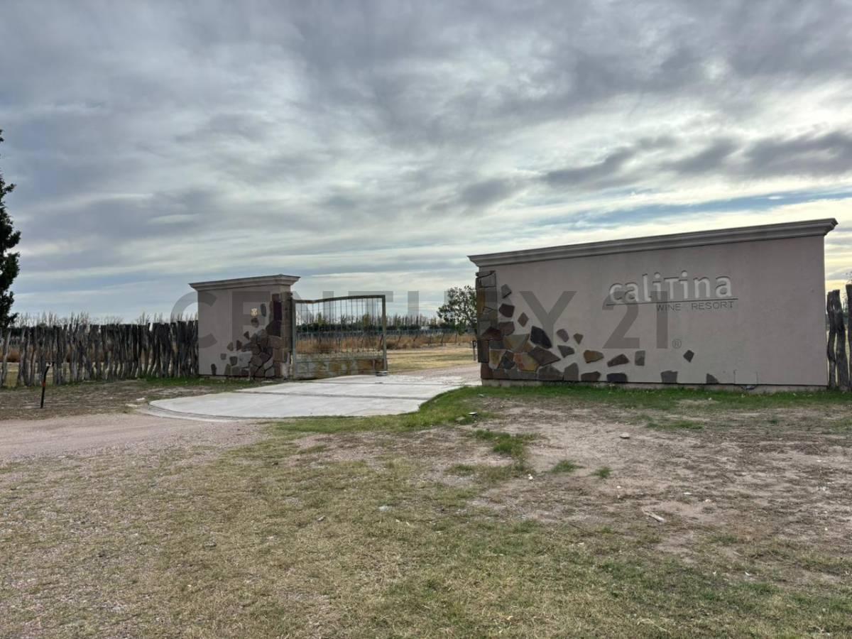 Foto de VENTA DE CAMPO DE 2.7 HA EN SAN RAFAEL MENDOZA. ID: 343654, imagen 1