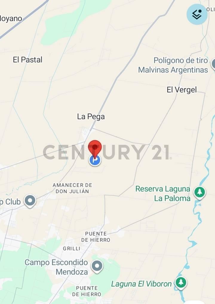 Foto de VENTA DE FINCA 12 HA, LA PEGA, LAVALLE. ID: 319764, imagen 4