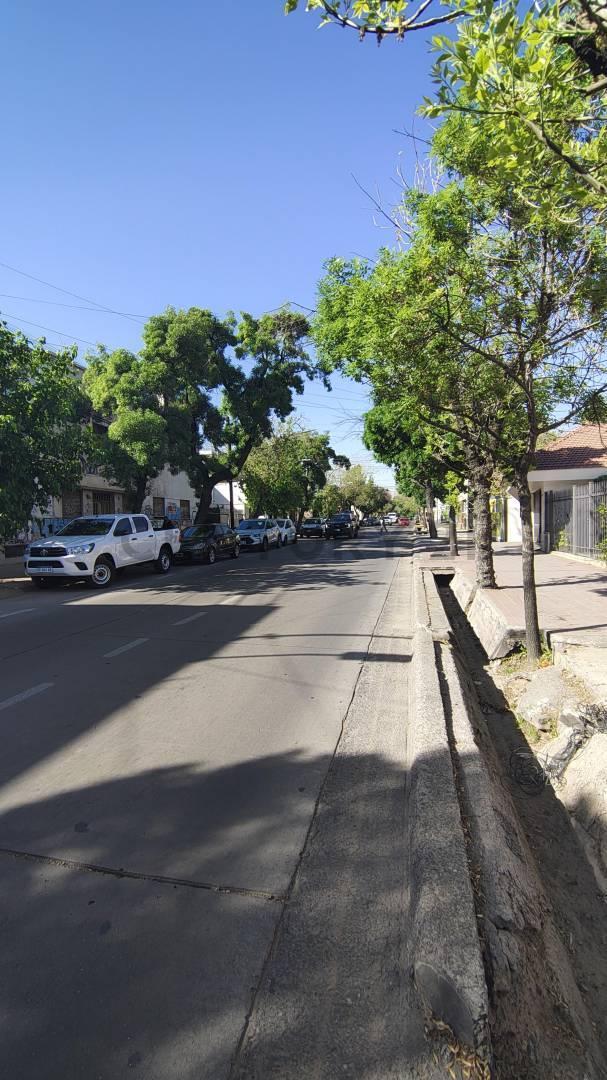 Foto de Lote apto para desarrollo en venta en Quinta Sección-Mendoza-ID:283589, imagen 2