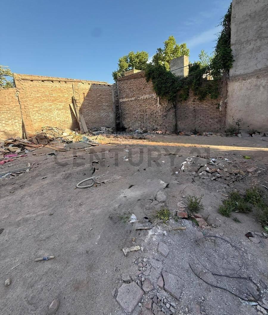 Foto de Lote apto para desarrollo en venta en Quinta Sección-Mendoza-ID:283589, imagen 5