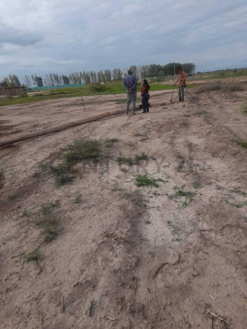 Foto de LOTEO EN VENTA EN LA PEGA, LAVALLE, MENDOZA. ID: 367415, imagen 5