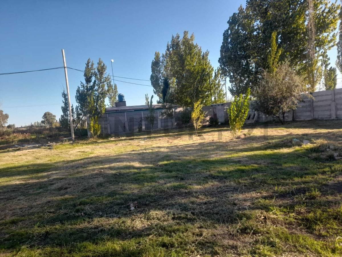 Foto de LOTEO EN VENTA EN LA PEGA, LAVALLE, MENDOZA. ID: 367415, imagen 3