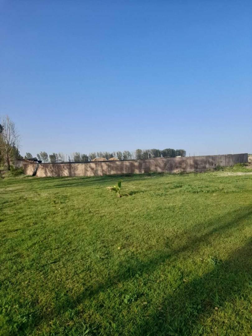 Foto de LOTEO EN VENTA EN LA PEGA, LAVALLE, MENDOZA. ID: 367415, imagen 2
