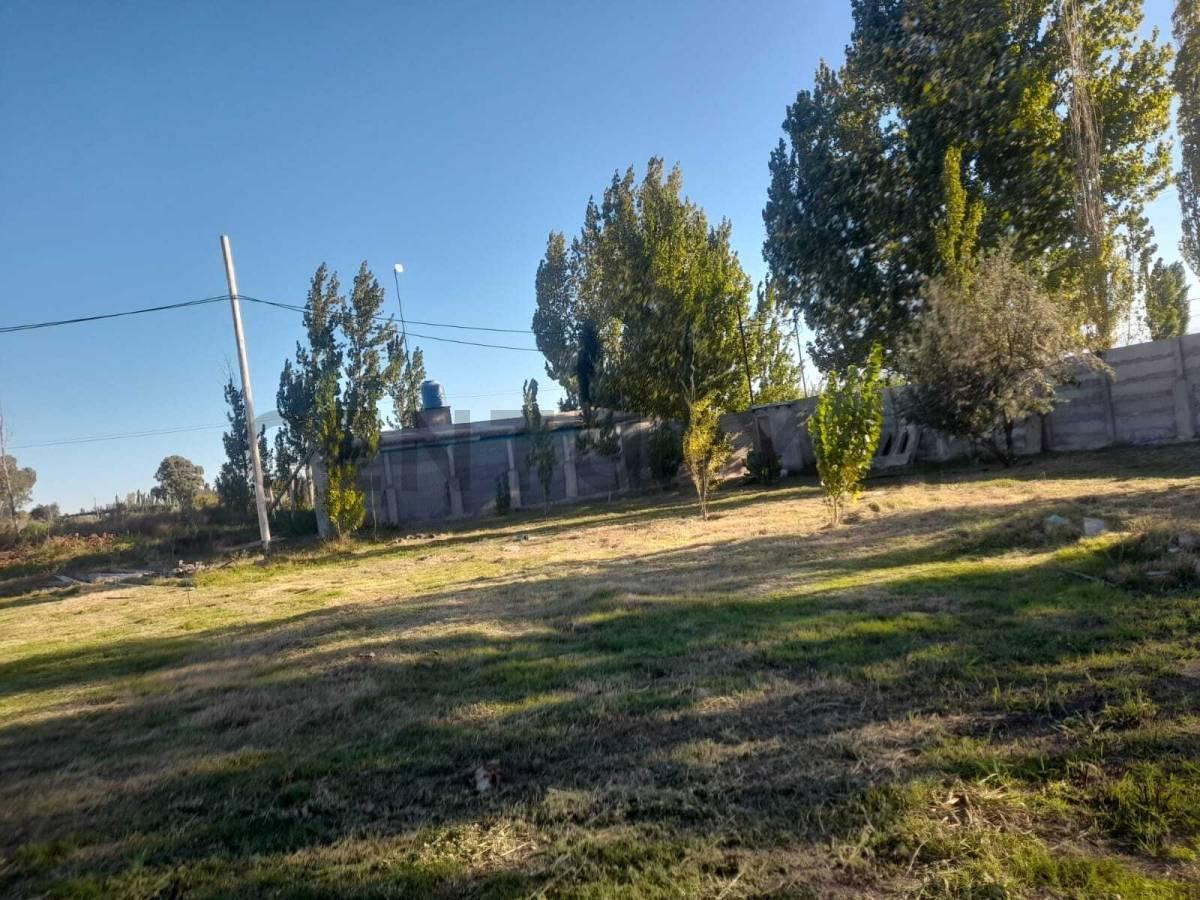 Foto de LOTEO EN VENTA EN LA PEGA, LAVALLE, MENDOZA. ID: 367415, imagen 4