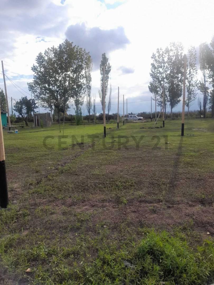 Foto de LOTEO EN VENTA EN LA PEGA, LAVALLE, MENDOZA. ID: 367415, imagen 1