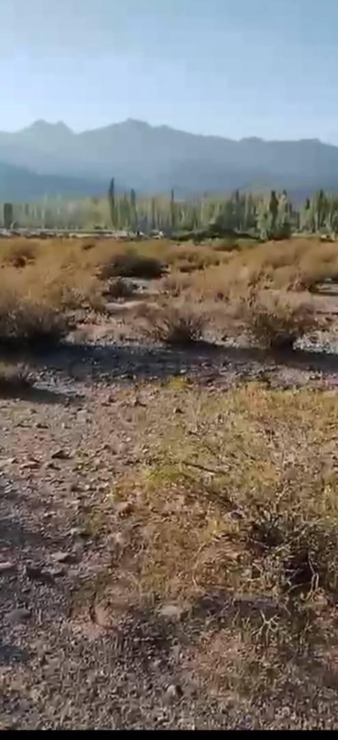 Foto de GRAN TERRENO EN VENTA EN USPALLATA, MENDOZA, imagen 3