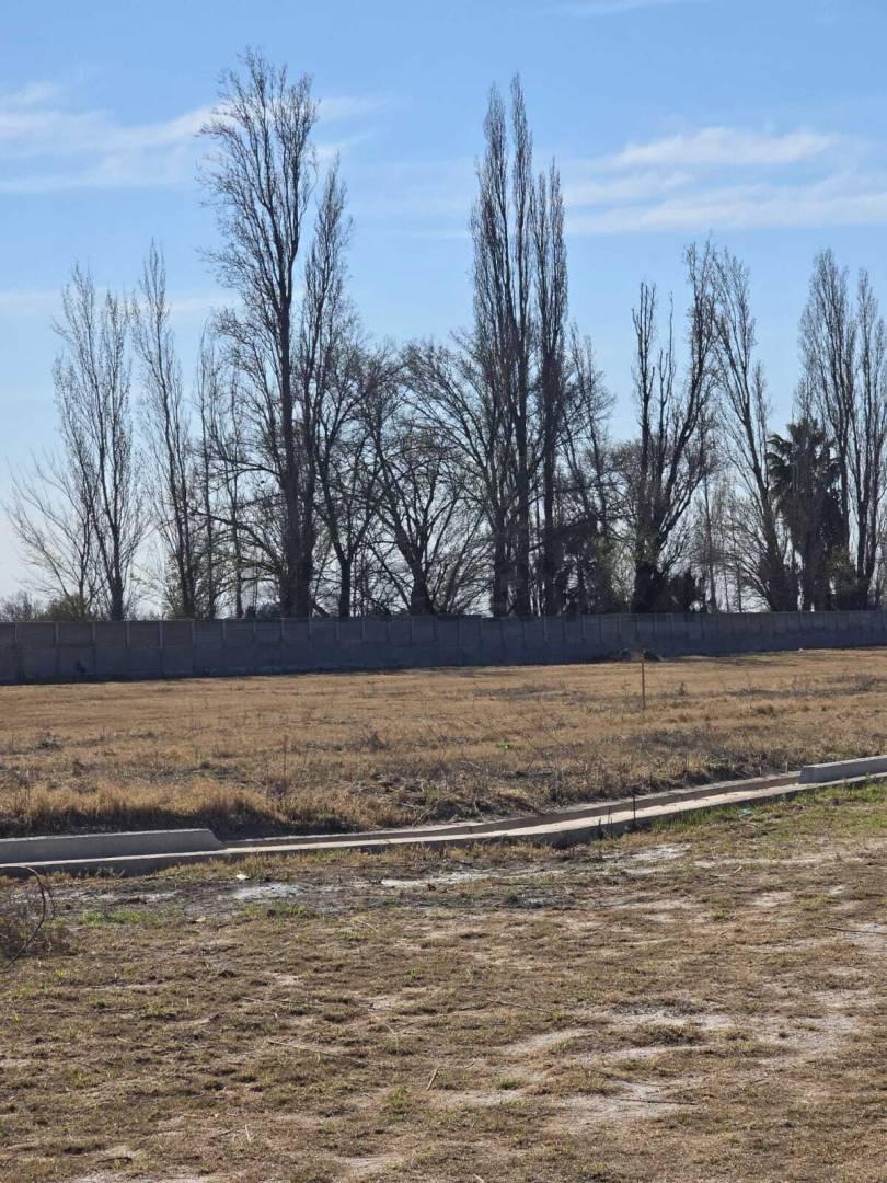 Foto de LOTE EN VENTA - BARRIO PRIVADO ALTO SALCEDO - CORRALITOS GUAYMALLEN, imagen 5
