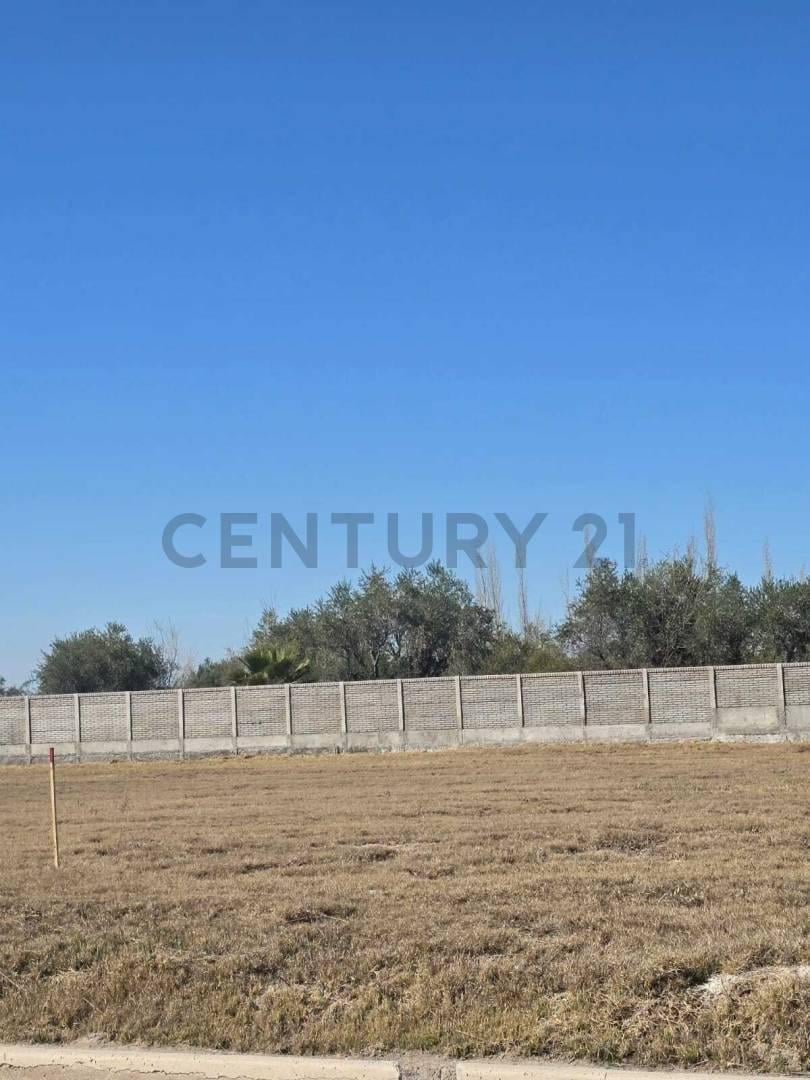 Foto de LOTE EN VENTA - BARRIO PRIVADO ALTO SALCEDO - CORRALITOS GUAYMALLEN, imagen 2