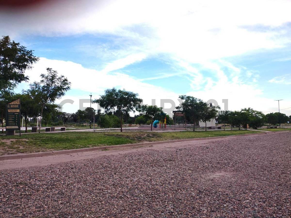 Foto de Lote en Venta B° El Bosque II-Rodeo del Medio-ID:253279, imagen 3