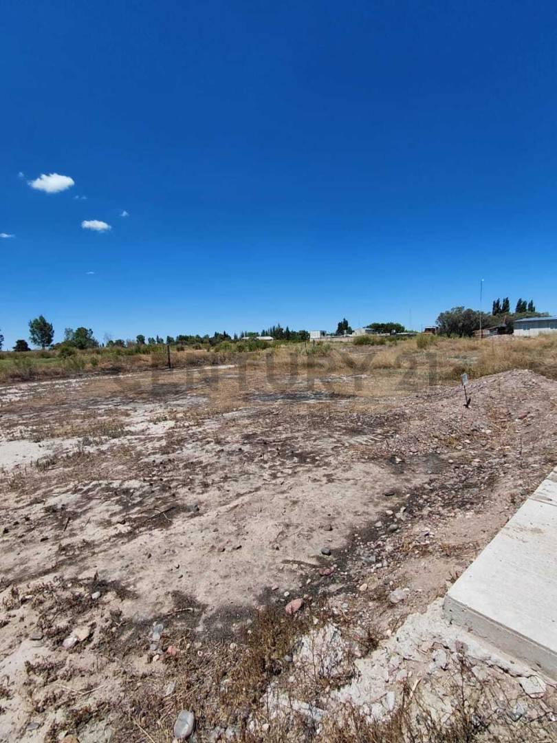 Foto de VENTA DE LOTE EN RIVADAVIA, MENDOZA., imagen 2