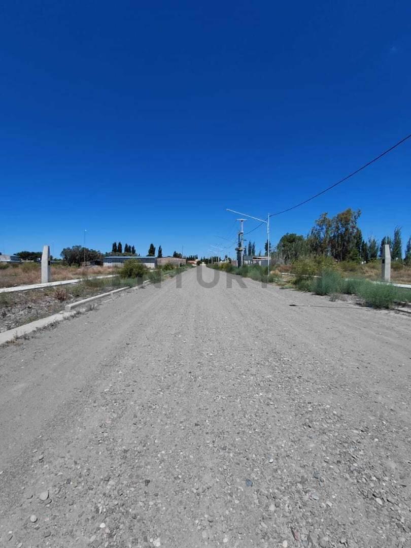 Foto de VENTA DE LOTE EN RIVADAVIA, MENDOZA., imagen 4