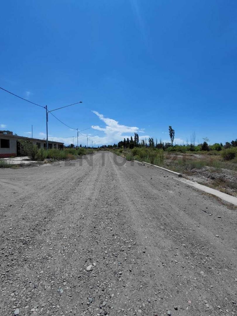 Foto de VENTA DE LOTE EN RIVADAVIA, MENDOZA., imagen 3