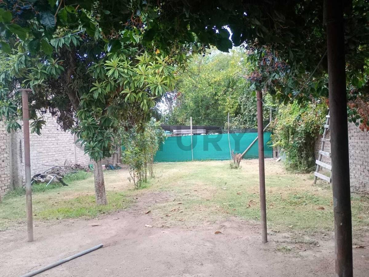 Foto de VENTA DE CASA EN LAVALLE, MENDOZA. ID: 322095, imagen 4