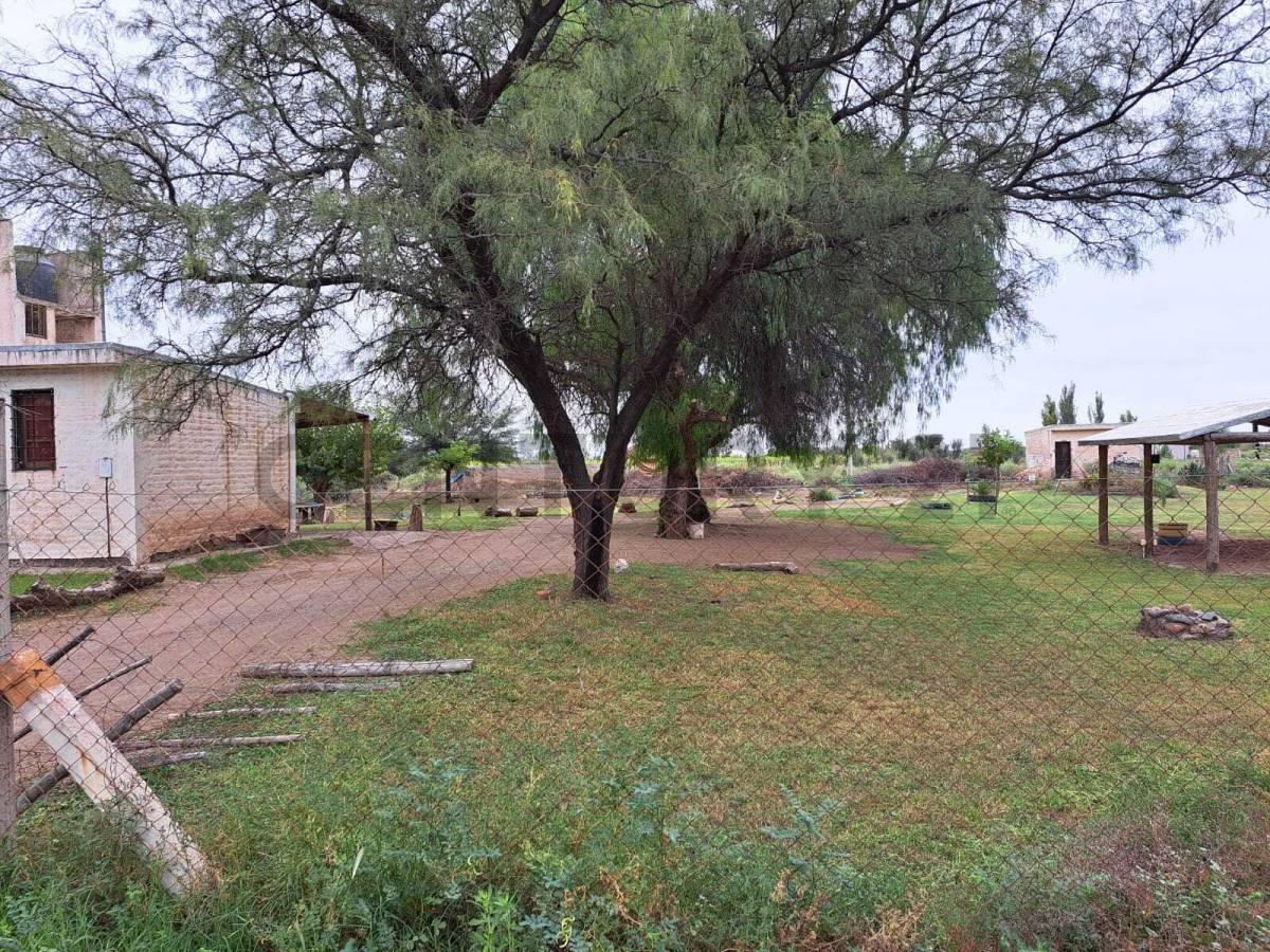 Foto de VENTA DE CASA CON AMPLIO TERRENO EN COSTA DE ARAUJO, LAVALLE, MENDOZA, imagen 2