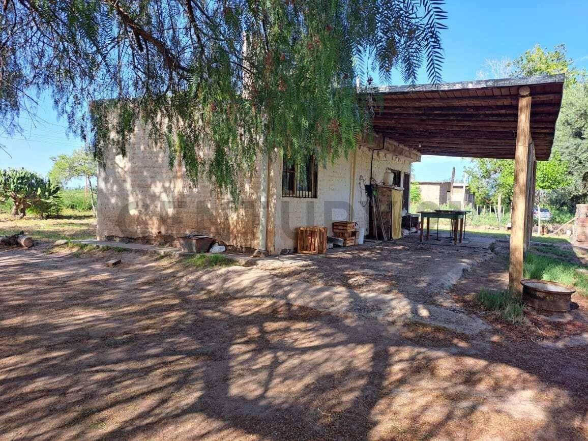 Foto de VENTA DE CASA CON AMPLIO TERRENO EN COSTA DE ARAUJO, LAVALLE, MENDOZA, imagen 4