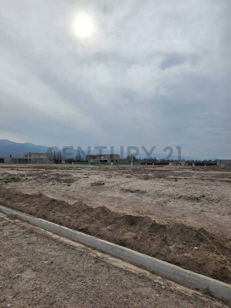 Foto de LOTE EN VENTA EN PINAR VISTALBA - VISTALBA, LUJÁN DE CUYO, imagen 2