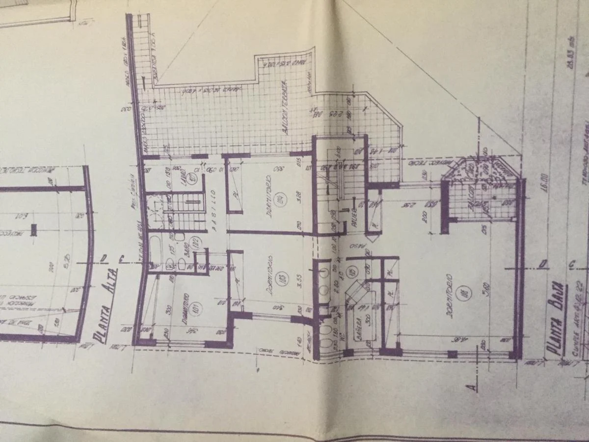 Plano 6