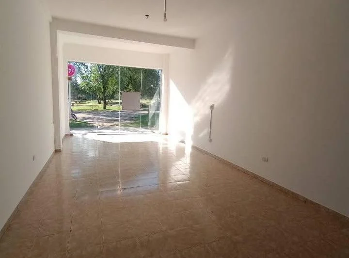 Foto de LOCAL COMERCIAL EN ALQUILER - TALAR DE MENDIOLAZA, imagen 4