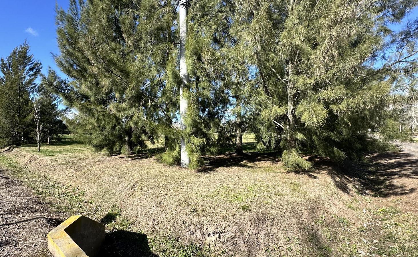 Foto de Terreno en venta en El Retiro Eco Barrio, imagen 2