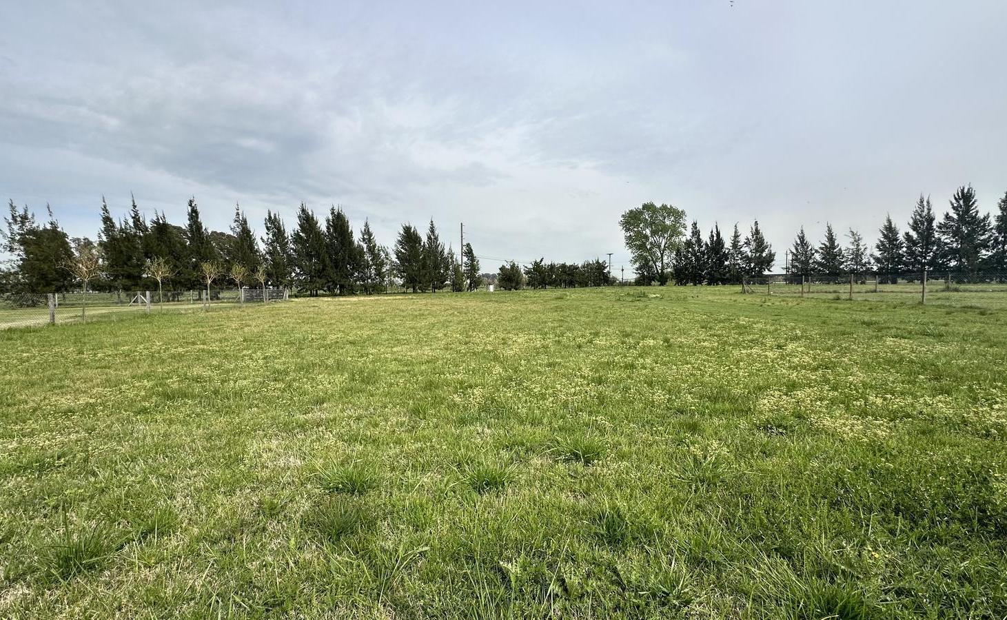 Foto de Lote en venta en Prados de la Vega, imagen 1