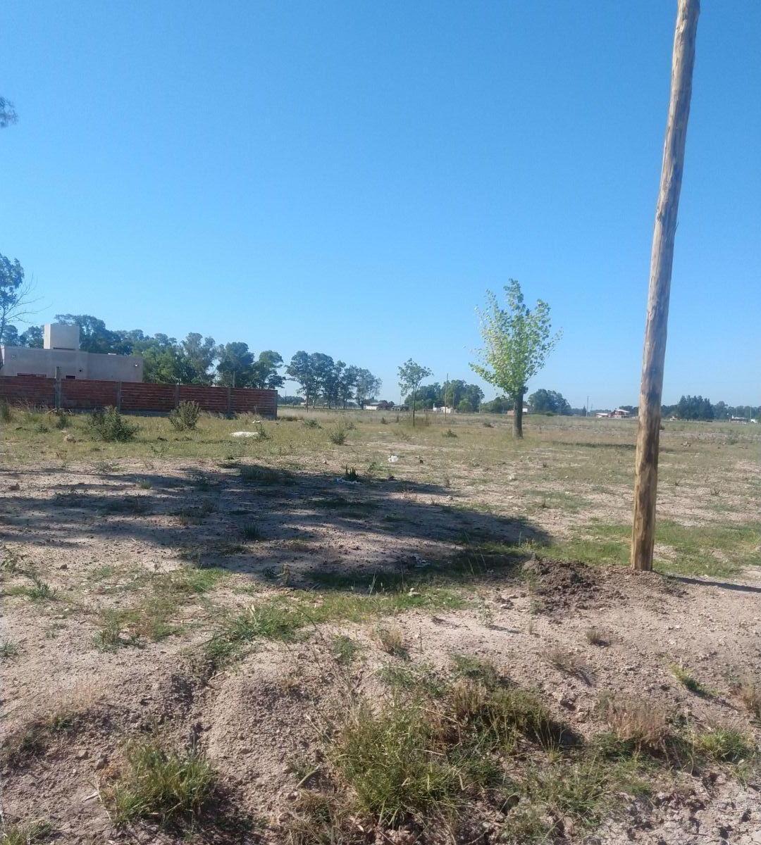Lote. | San Martin Al 2500 1