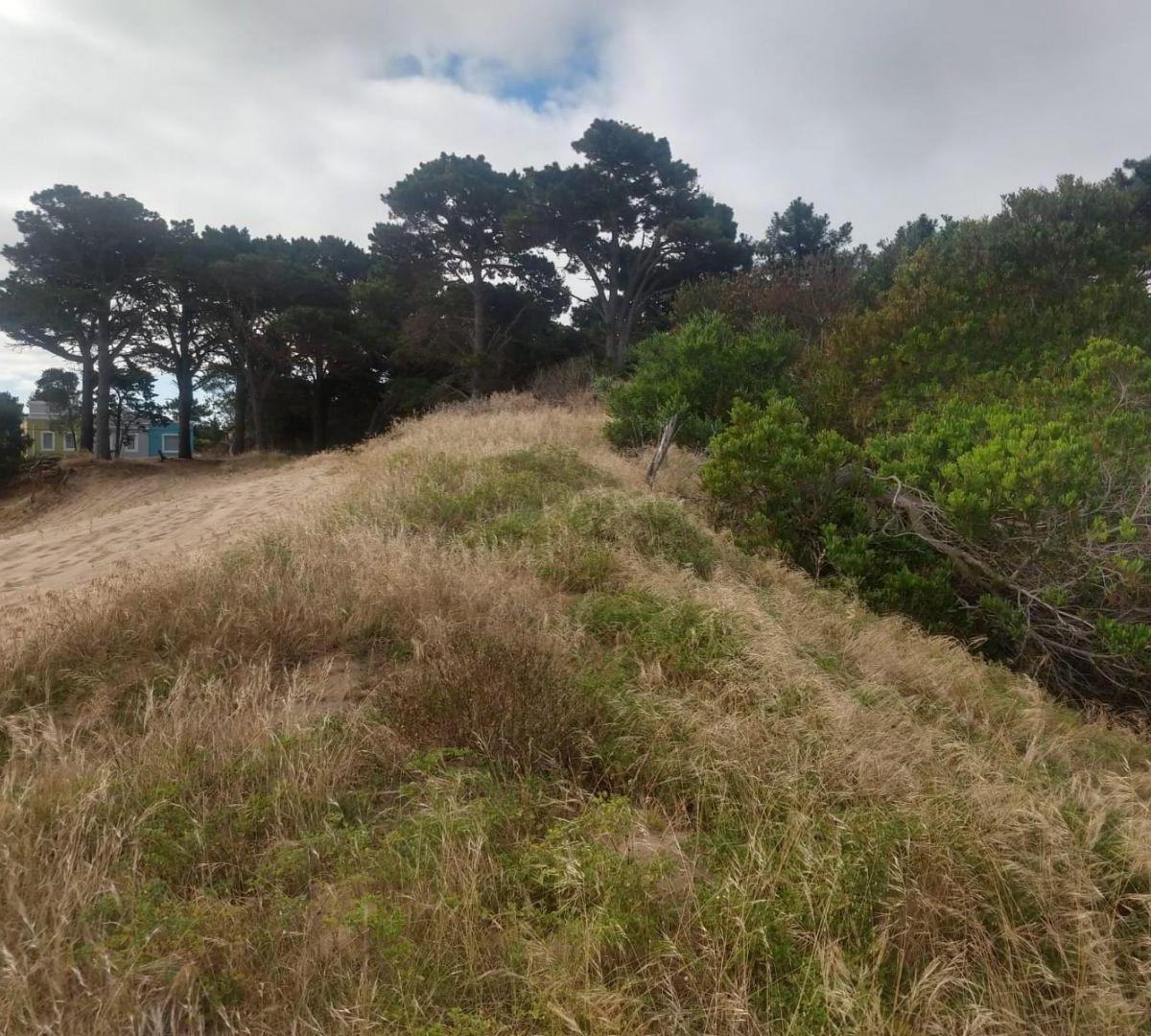 Lote. | Punta del Este 4