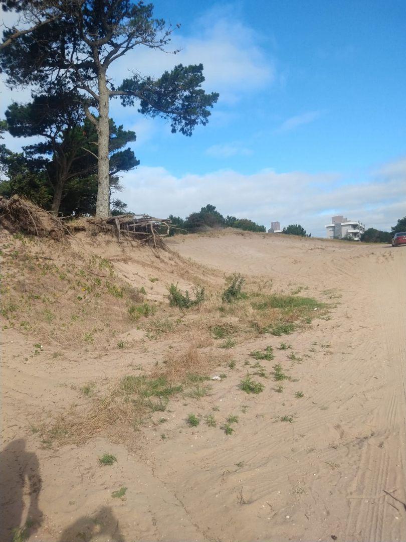 Lote. | Punta del Este 1
