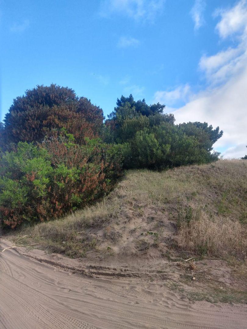 Lote. | Punta del Este 5