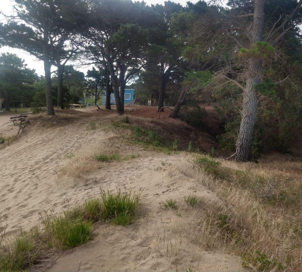 Lote. | Punta del Este 2