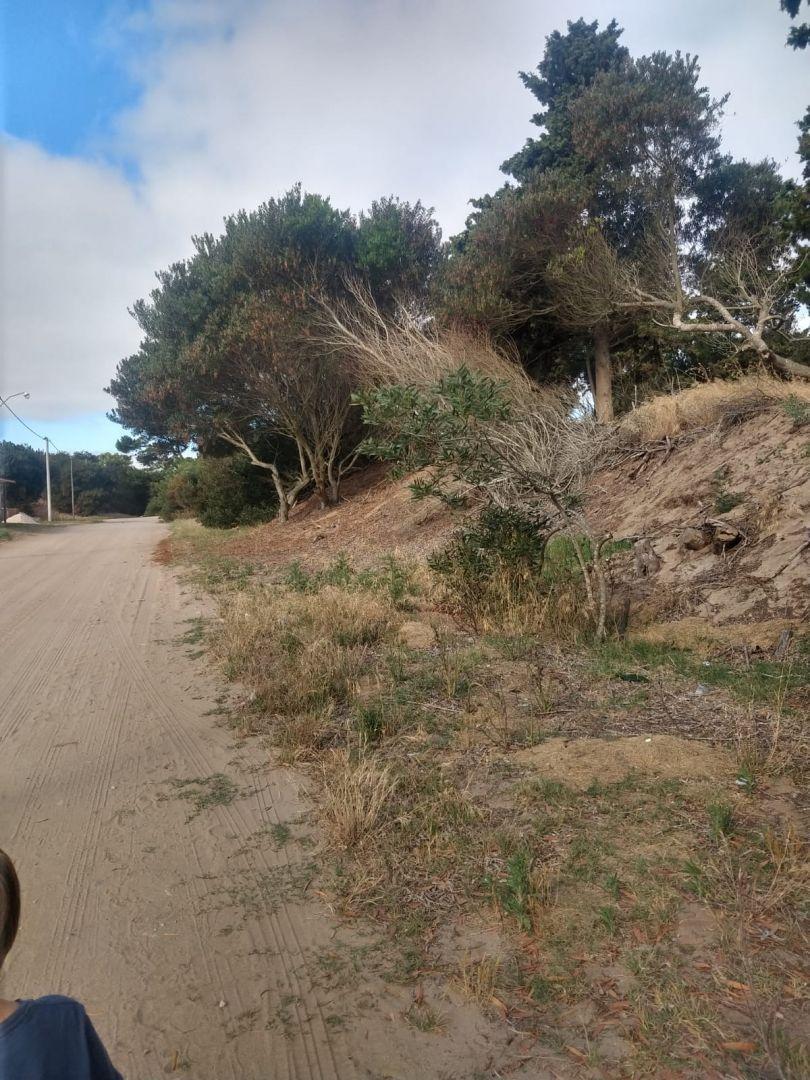 Lote. | Punta del Este 4