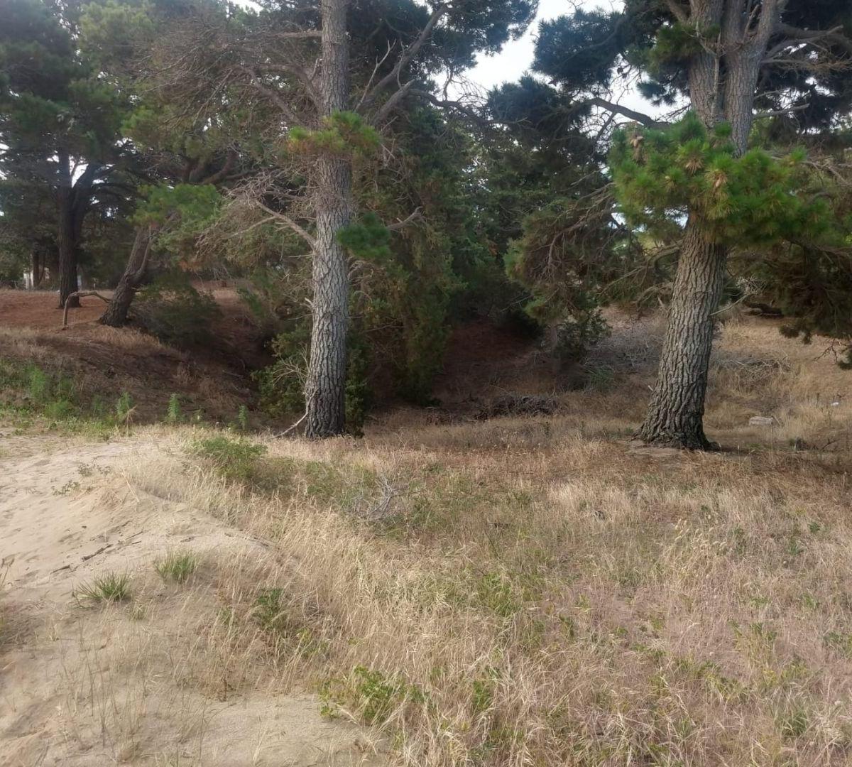 Lote. | Punta del Este 1