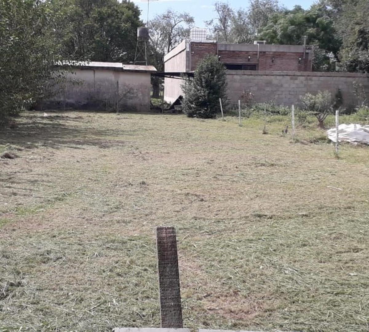 Andino