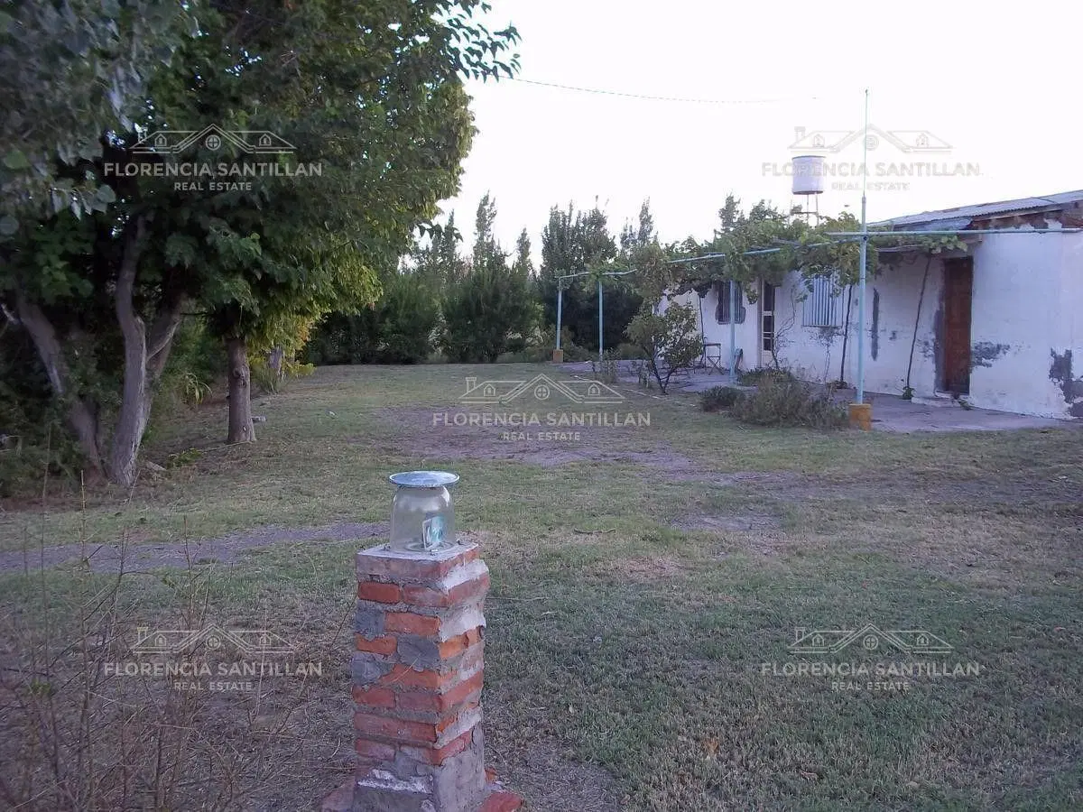 Casa Campo en Venta ubicado en San Rafael, Mendoza, Argentina 5
